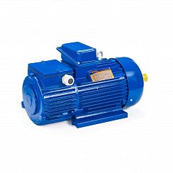 Электродвигатель 5МТН 225 L6 55/1000 IM1003