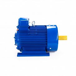Электродвигатель 5MTКH 200 LB8 22/750 IM1003