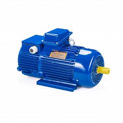 Электродвигатель 5МТН 225 L6 55/1000 IM1003