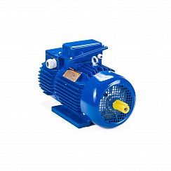 Электродвигатель 5MTH 200 LB8 22/750 IM1003