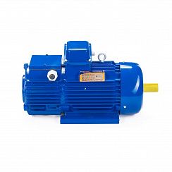 Электродвигатель 5МТН 225 L6 55/1000 IM1003
